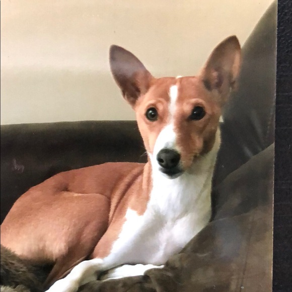 Meet your Posher - Picture 1 of 1